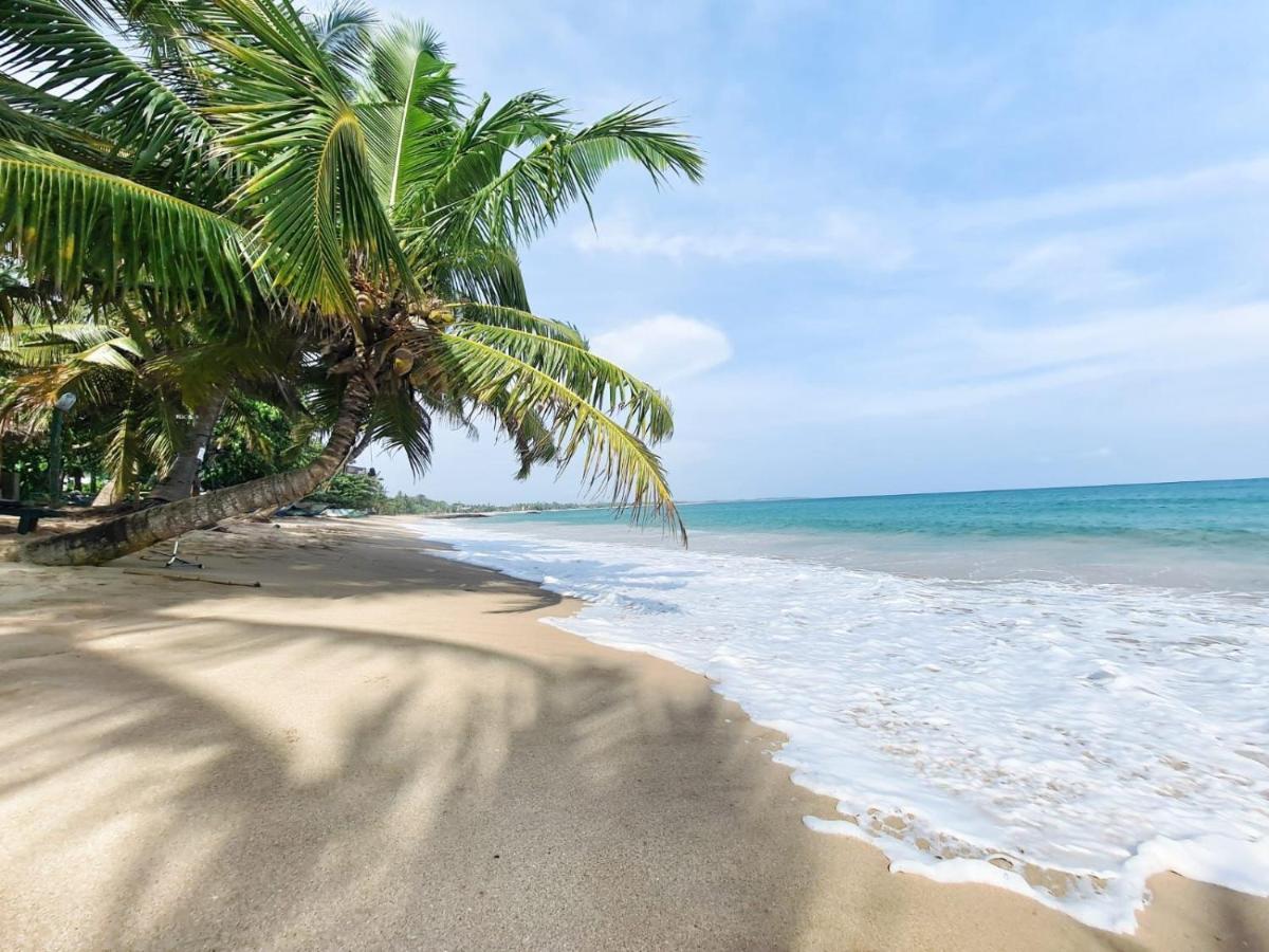 Frangipani Beach Villa Tangalle Exterior photo